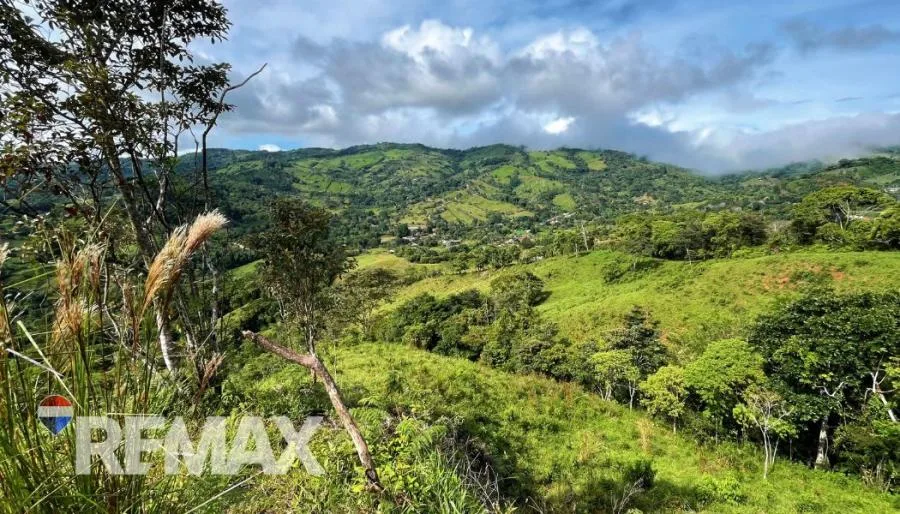 EN VENTA – 9.3 HECTÁREAS EN PLATANARES, PÉREZ ZELEDÓN, COSTA RICA  - Venta en Perez Zeledón, photo 8