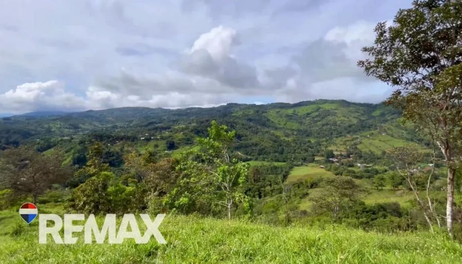 EN VENTA – 9.3 HECTÁREAS EN PLATANARES, PÉREZ ZELEDÓN, COSTA RICA  - Venta en Perez Zeledón, photo 9