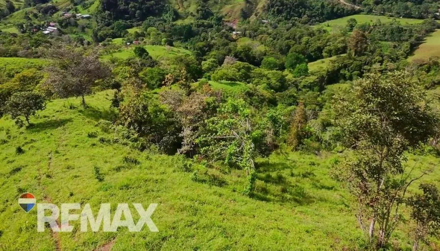 EN VENTA – 9.3 HECTÁREAS EN PLATANARES, PÉREZ ZELEDÓN, COSTA RICA  - Venta en Perez Zeledón, photo 10