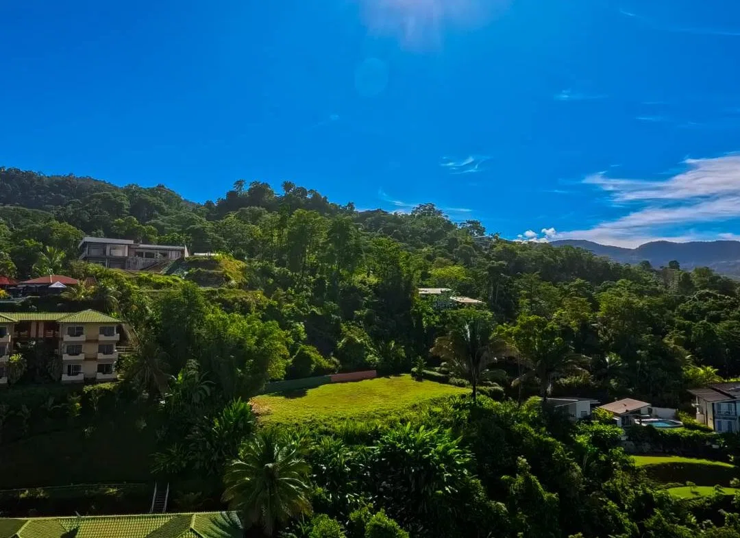 PROPERTY IN UVITA WITH OCEAN VIEW – 2.23 ACRES, photo 2