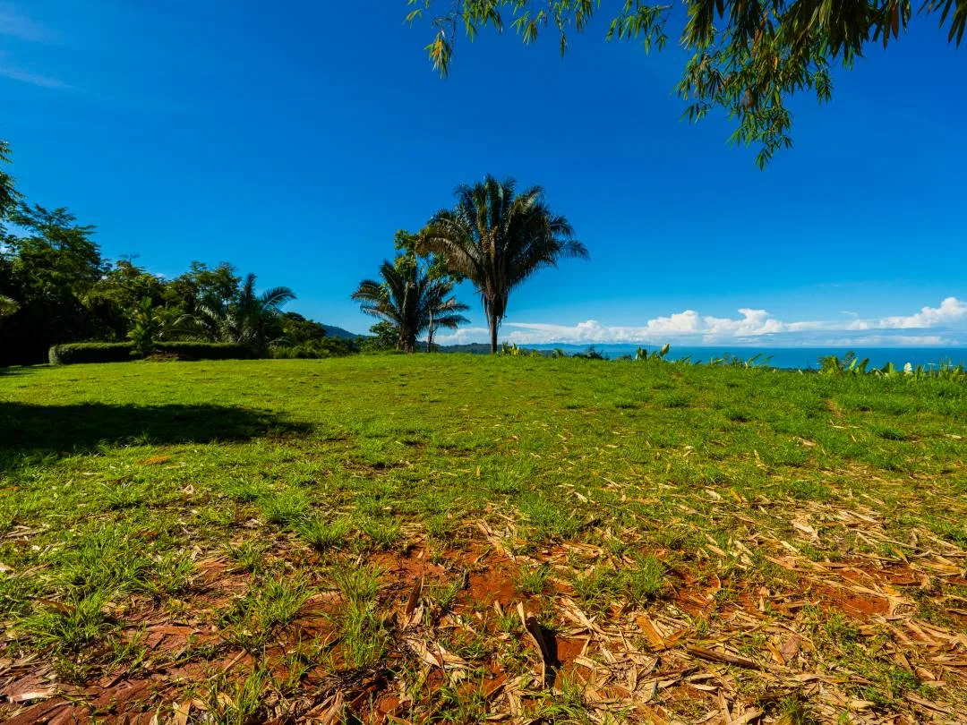 PROPERTY IN UVITA WITH OCEAN VIEW – 2.23 ACRES, photo 11