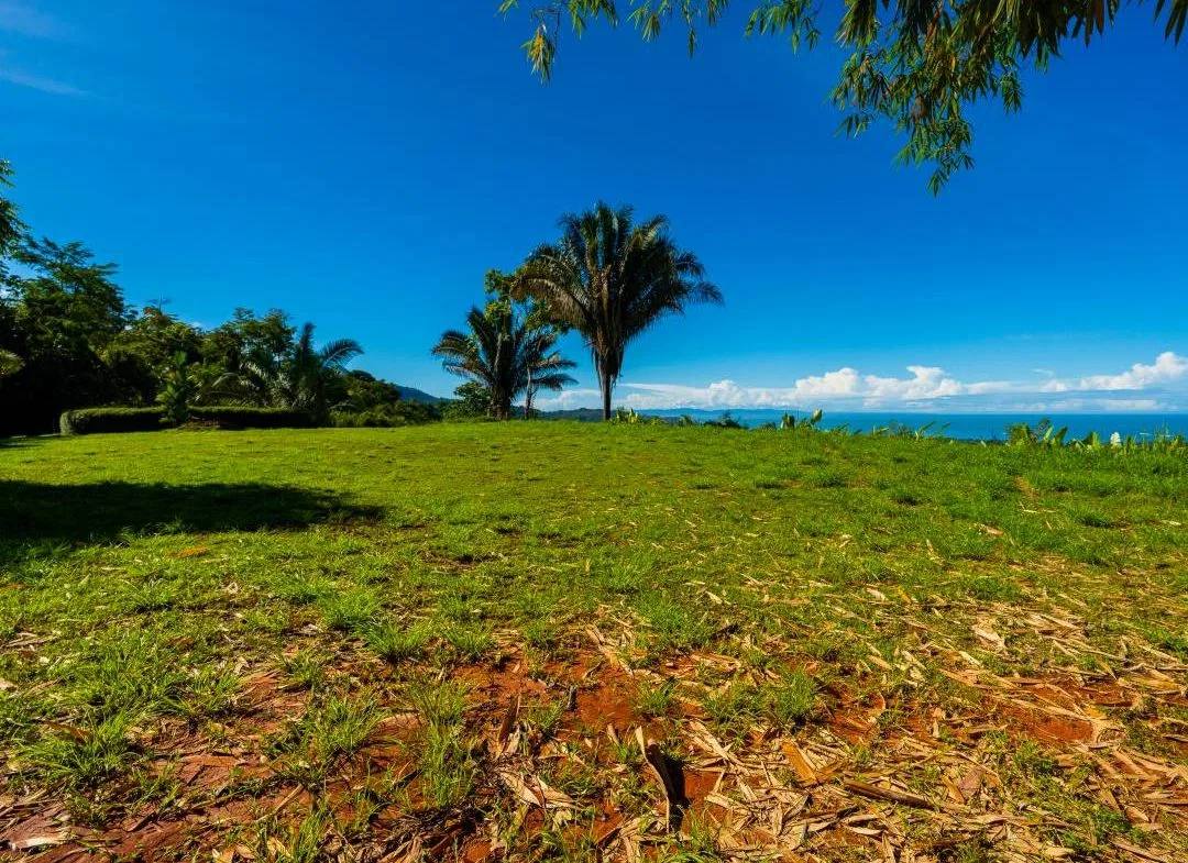 PROPERTY IN UVITA WITH OCEAN VIEW – 2.23 ACRES, photo 12