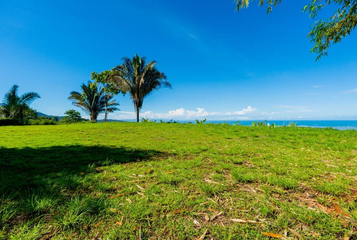 PROPERTY IN UVITA WITH OCEAN VIEW – 2.23 ACRES, photo 14