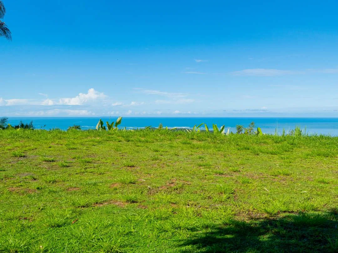 PROPERTY IN UVITA WITH OCEAN VIEW – 2.23 ACRES, photo 15