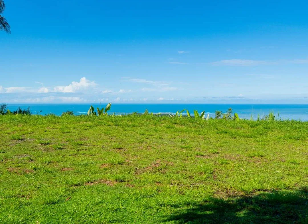 PROPERTY IN UVITA WITH OCEAN VIEW – 2.23 ACRES, photo 16