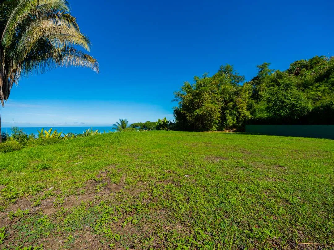 PROPERTY IN UVITA WITH OCEAN VIEW – 2.23 ACRES, photo 17