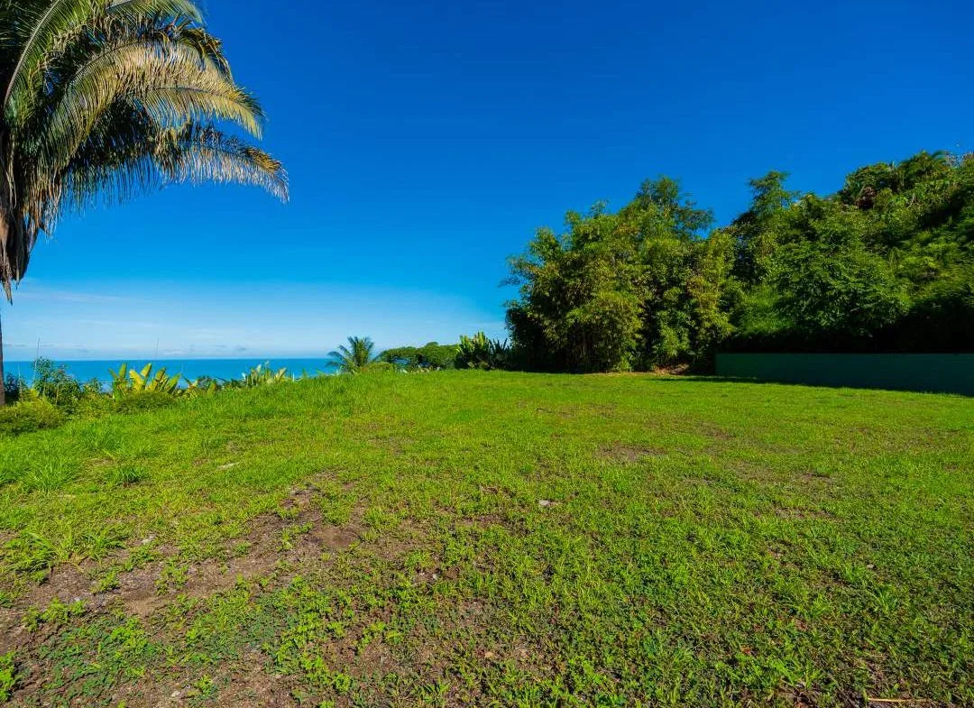 PROPERTY IN UVITA WITH OCEAN VIEW – 2.23 ACRES, photo 18