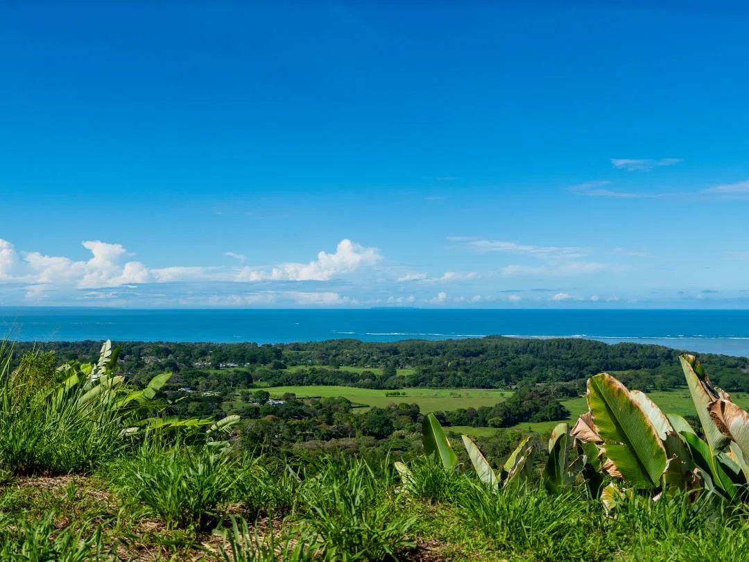 PROPERTY IN UVITA WITH OCEAN VIEW – 2.23 ACRES, photo 7