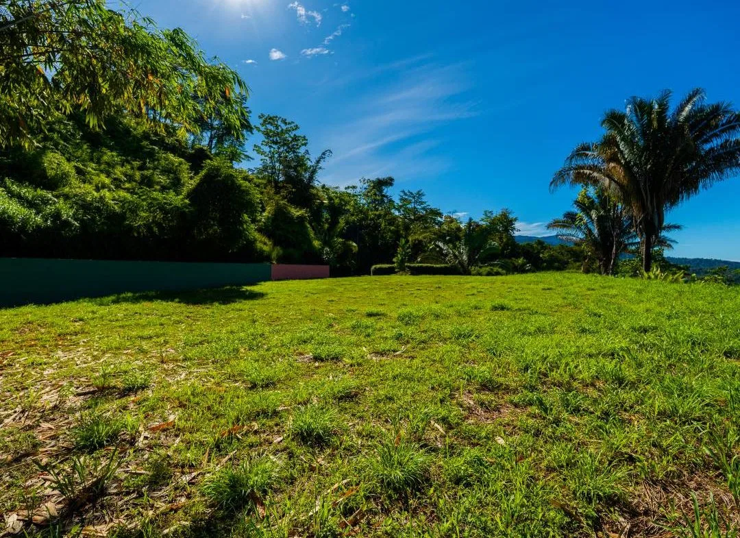 PROPERTY IN UVITA WITH OCEAN VIEW – 2.23 ACRES, photo 10
