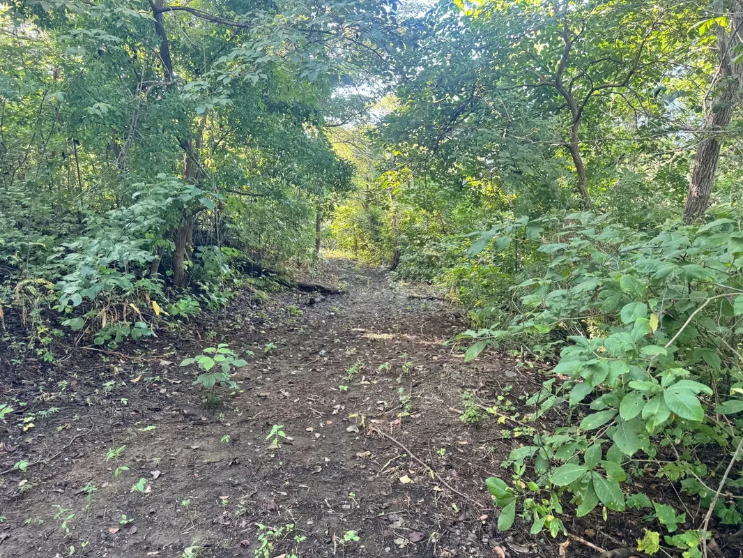 3 Hectares lot with Ocean View for Sale in Playa Potrero – EU, photo 11