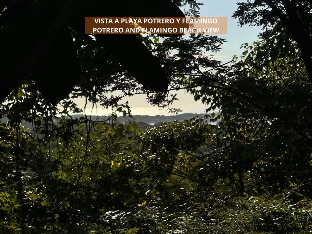3 Hectares lot with Ocean View for Sale in Playa Potrero – EU, photo 12