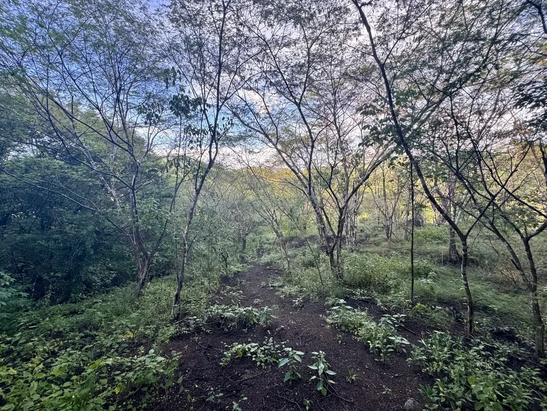 3 Hectares lot with Ocean View for Sale in Playa Potrero – EU, photo 15