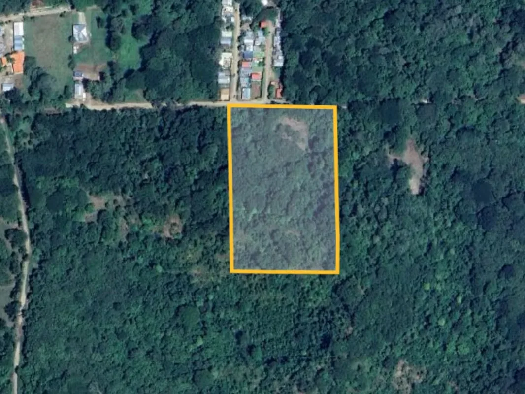3 Hectares lot with Ocean View for Sale in Playa Potrero – EU, photo 16