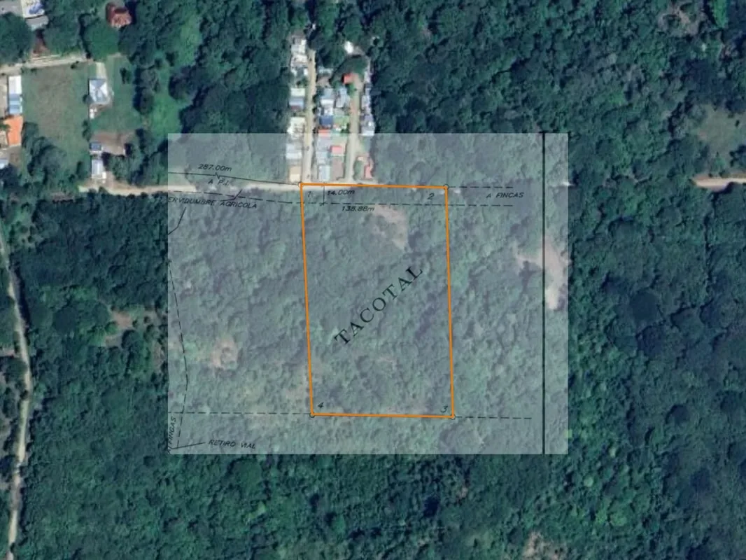 3 Hectares lot with Ocean View for Sale in Playa Potrero – EU, photo 3