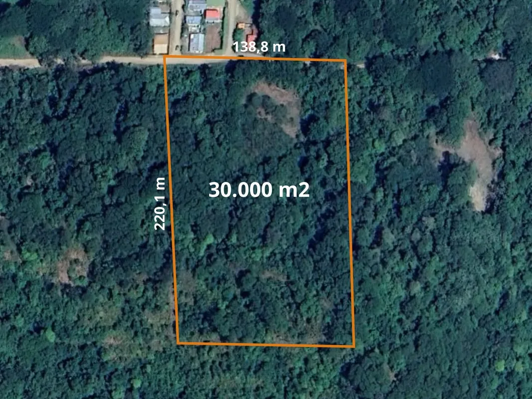 3 Hectares lot with Ocean View for Sale in Playa Potrero – EU, photo 4