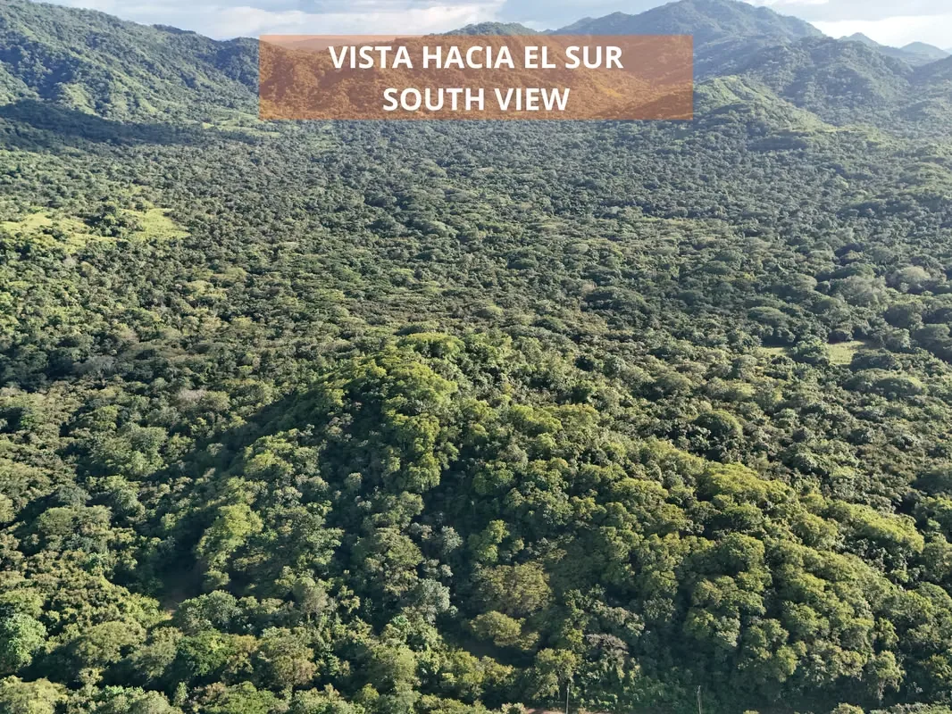 3 Hectares lot with Ocean View for Sale in Playa Potrero – EU, photo 7