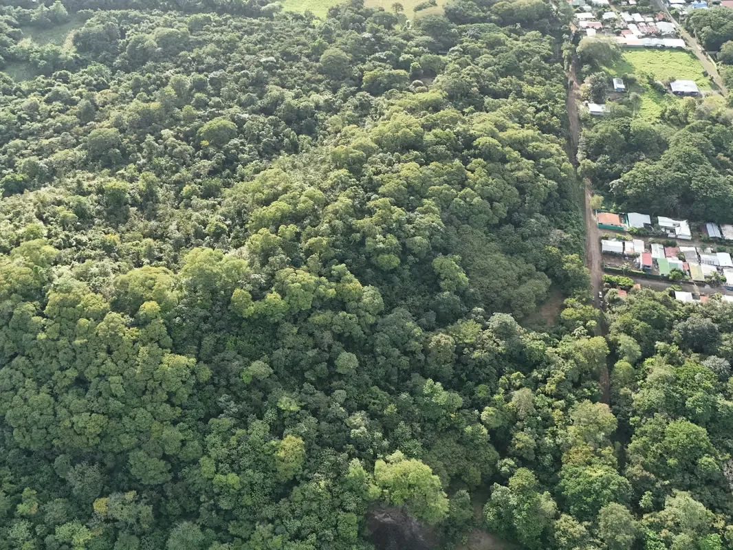 3 Hectares lot with Ocean View for Sale in Playa Potrero – EU, photo 8