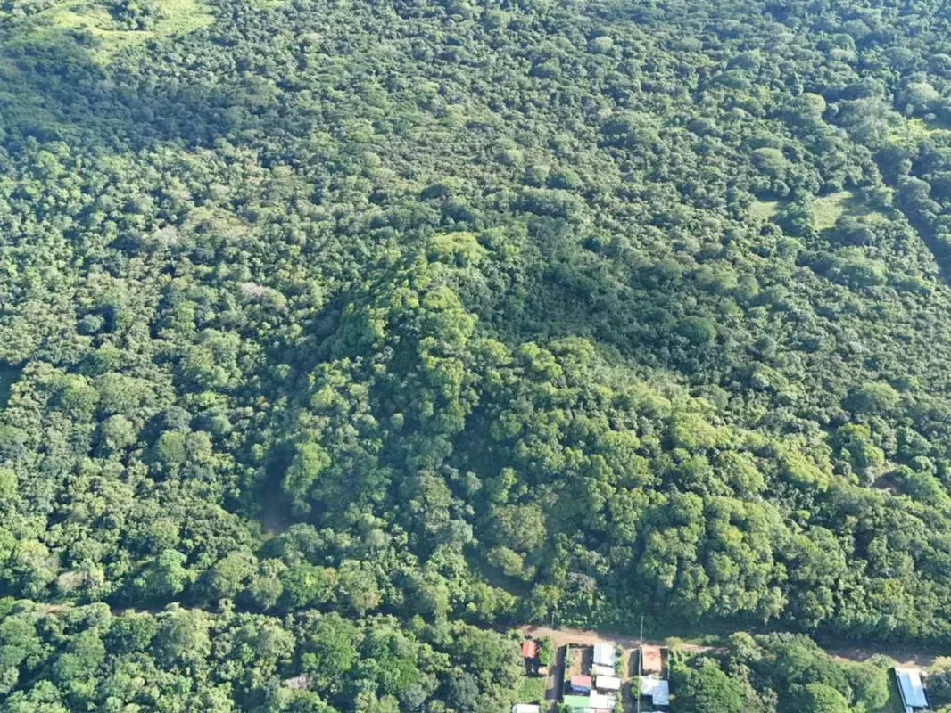 3 Hectares lot with Ocean View for Sale in Playa Potrero – EU, photo 9