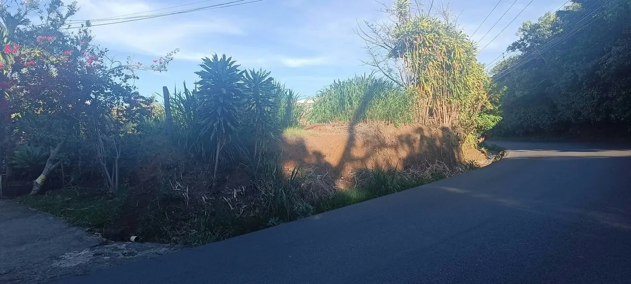 Lot of 271.43 meters, use for apartments, house or commercial premises. The use of soil is mixed. Value: 60,000 and offer is heard.