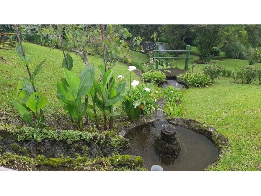 VENTA DE QUINTA, HEREDIA, BARVA, SAN JOSE DE LA MONTAÑA, photo 25