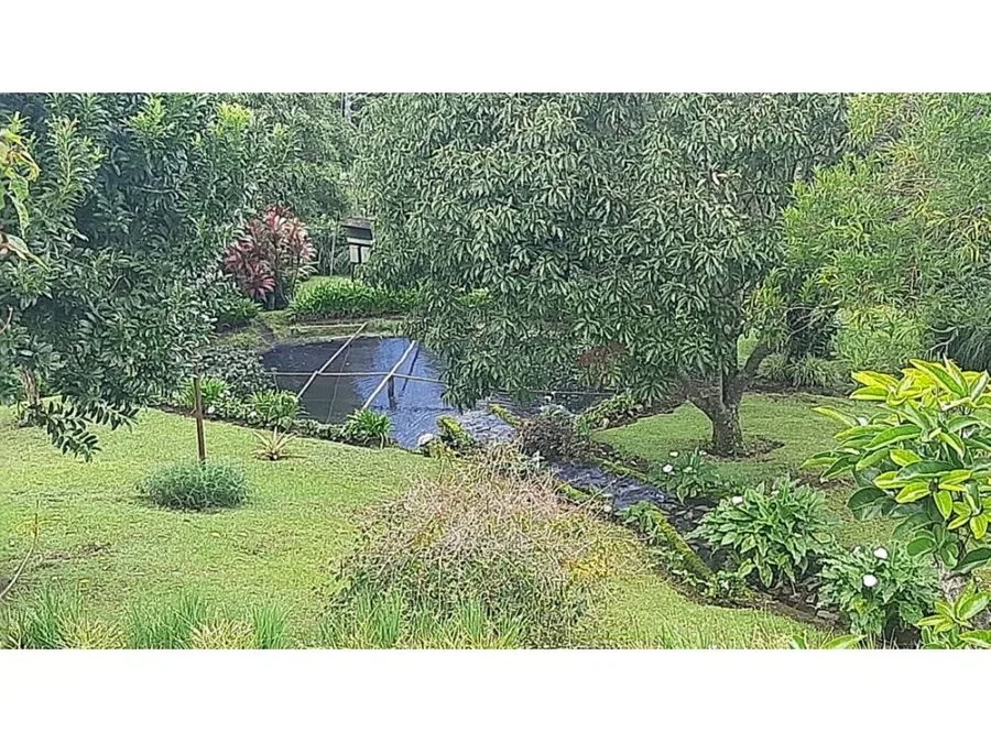 VENTA DE QUINTA, HEREDIA, BARVA, SAN JOSE DE LA MONTAÑA, photo 9