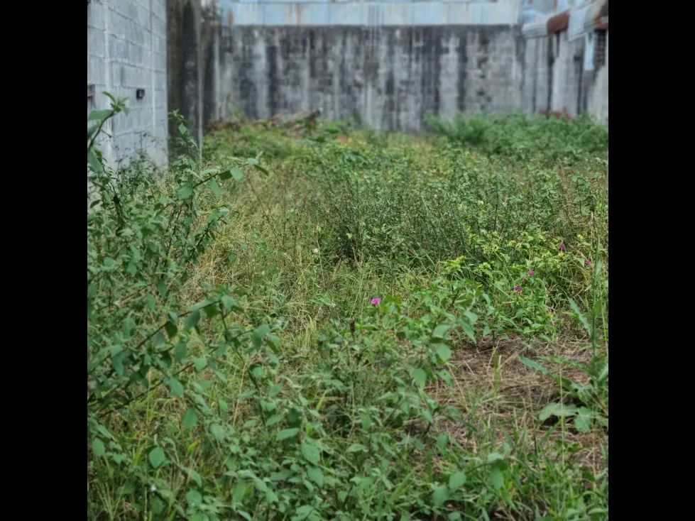 Lote en Venta de Uso Residencial,en Guadalupe,Goicoechea,3PJG, photo 2