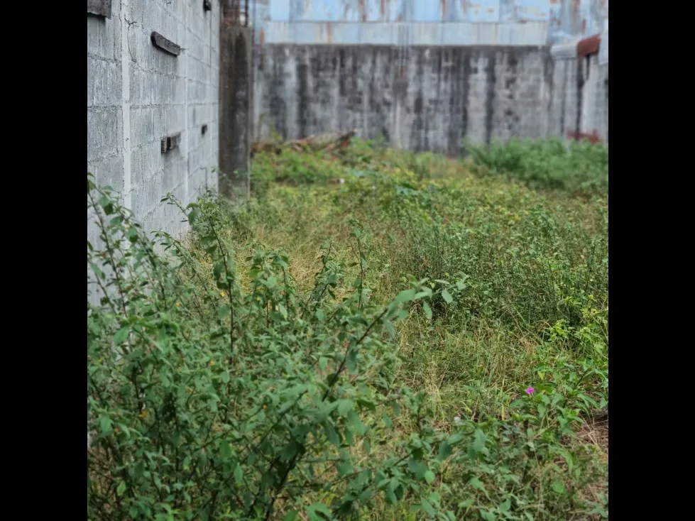 Lote en Venta de Uso Residencial,en Guadalupe,Goicoechea,3PJG, photo 11