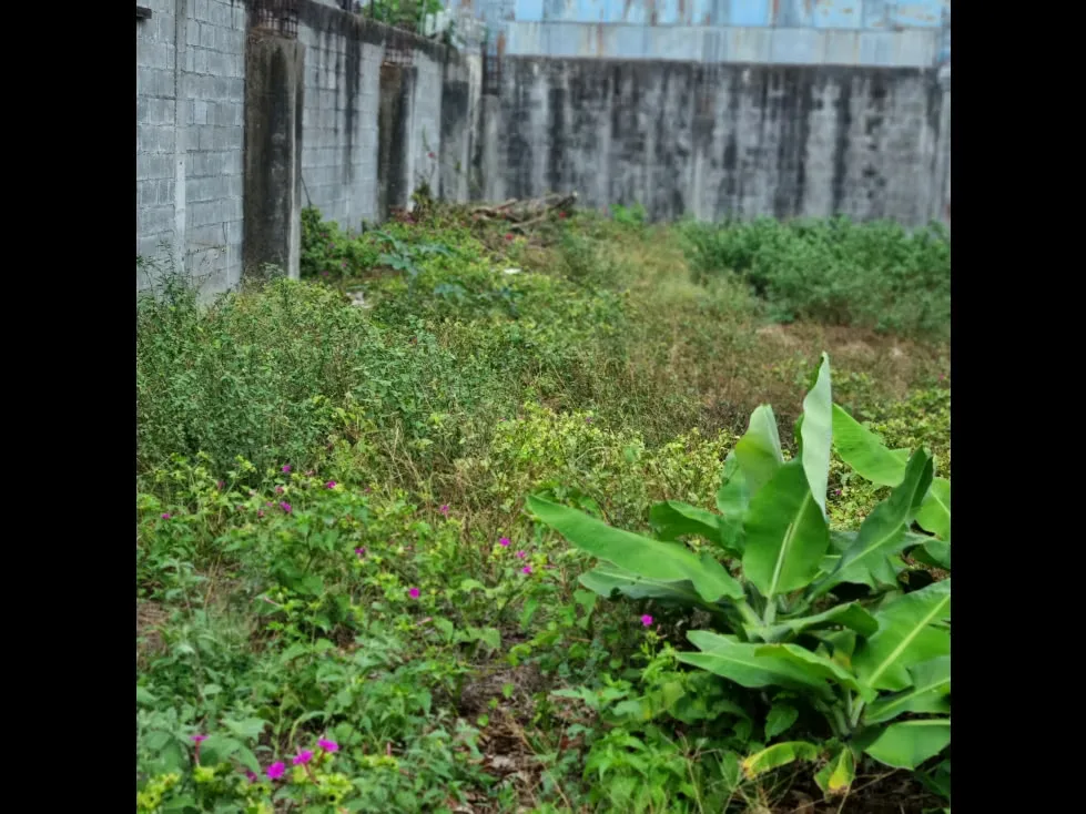 Lote en Venta de Uso Residencial,en Guadalupe,Goicoechea,3PJG, photo 12