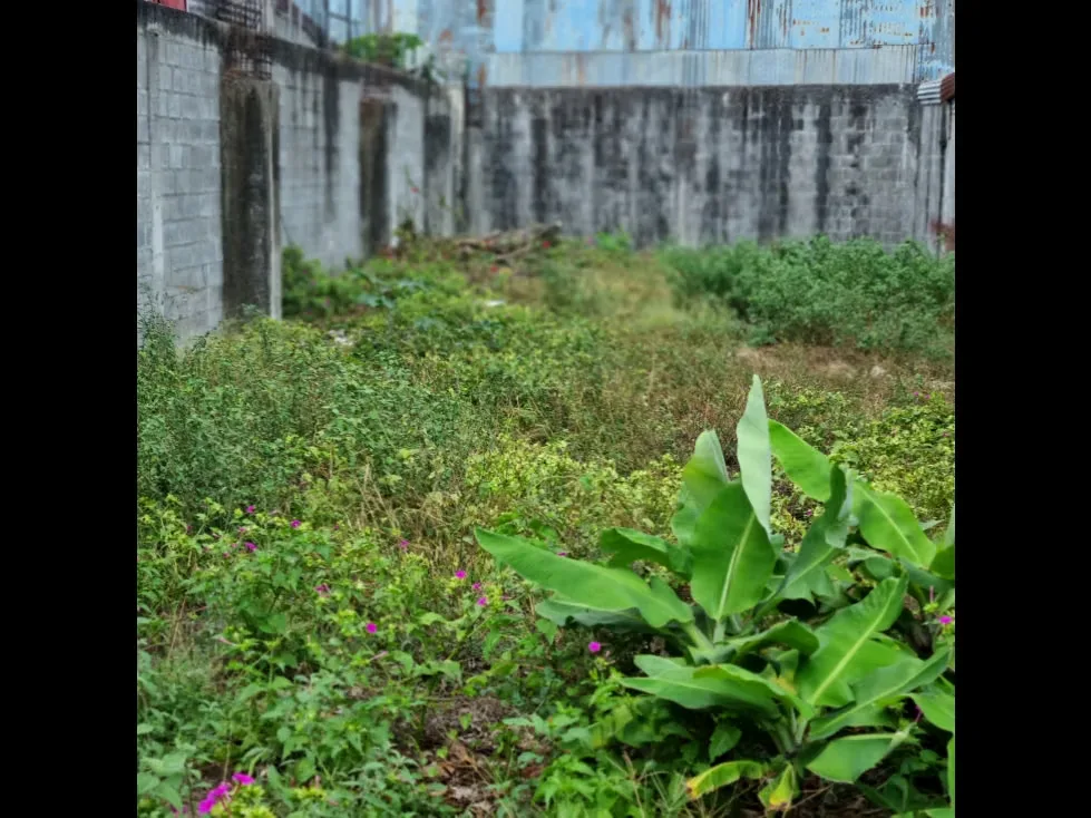 Lote en Venta de Uso Residencial,en Guadalupe,Goicoechea,3PJG, photo 3
