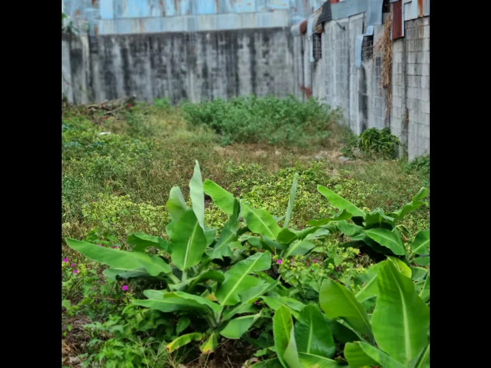 Lote en Venta de Uso Residencial,en Guadalupe,Goicoechea,3PJG, photo 4
