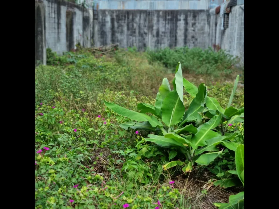 Lote en Venta de Uso Residencial,en Guadalupe,Goicoechea,3PJG, photo 8