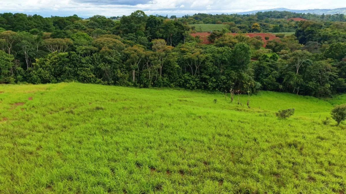 VENTA DE QUINTA DE 7.000 M2 EN SANTA CECILIA DE SAN PEDRO, PEREZ ZELEDON: CLIMA FRESCO Y VISTAS - Venta en Pérez Zeledón, photo 3