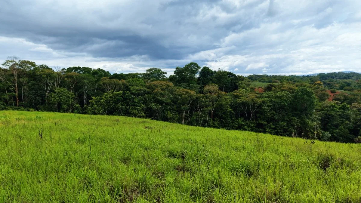 VENTA DE QUINTA DE 7.000 M2 EN SANTA CECILIA DE SAN PEDRO, PEREZ ZELEDON: CLIMA FRESCO Y VISTAS - Venta en Pérez Zeledón, photo 4