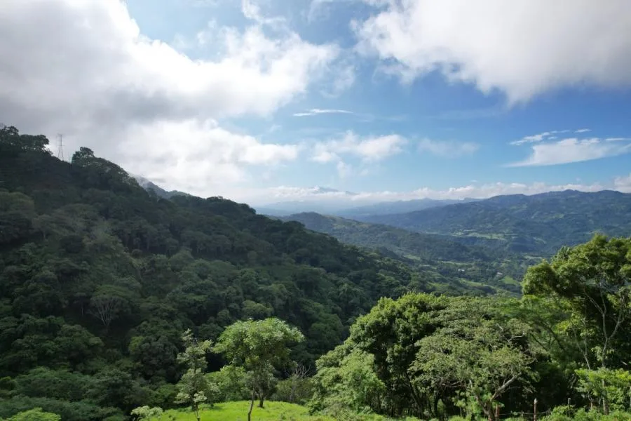 Se vende hermosa finca de 66.000 m² (6,6 hectáreas) - Atenas - Venta en Atenas, photo 2