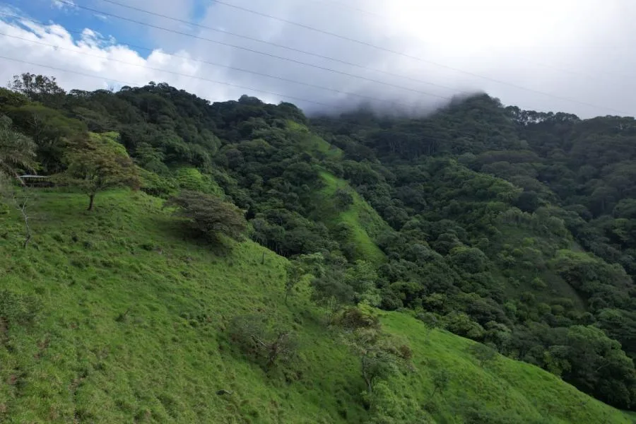 Se vende hermosa finca de 66.000 m² (6,6 hectáreas) - Atenas - Venta en Atenas, photo 3