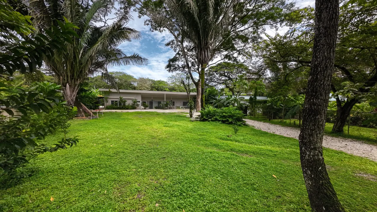 Modern Tropical House 2 min from Del Mar Academy