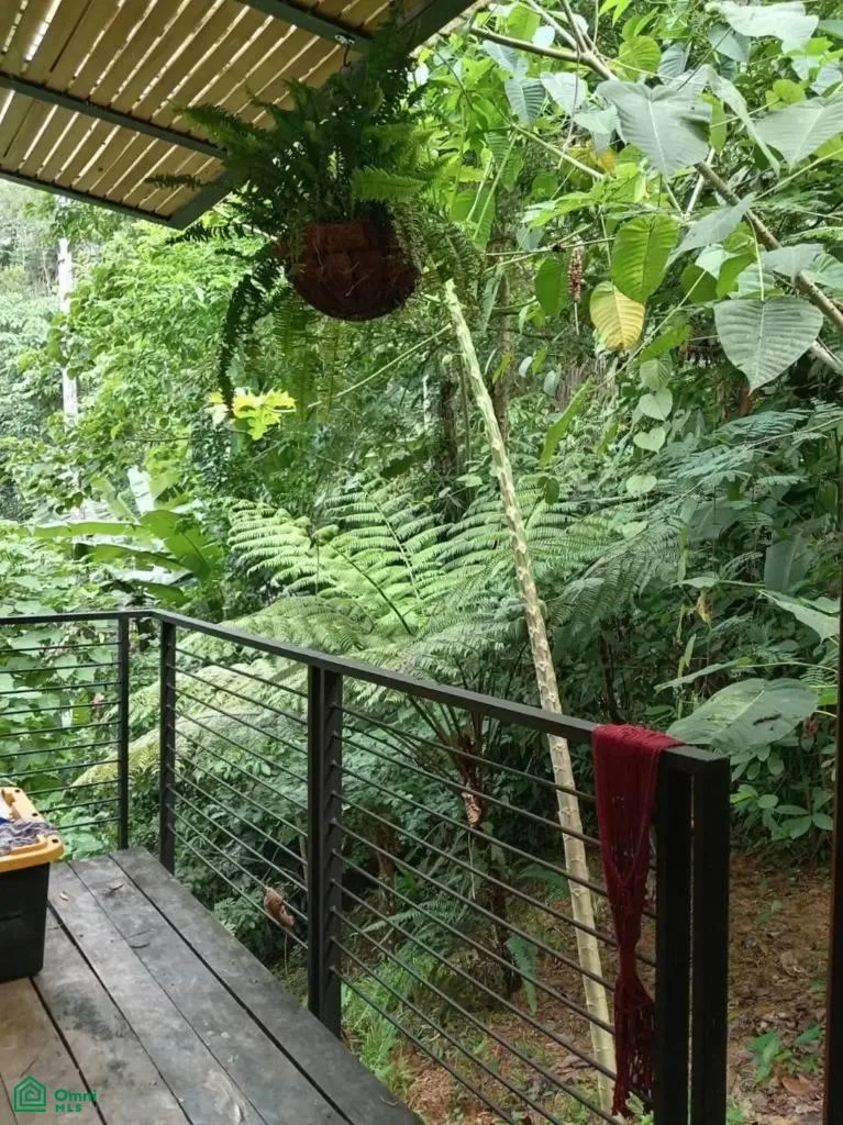 Casa caribeña fuera de la red, photo 6