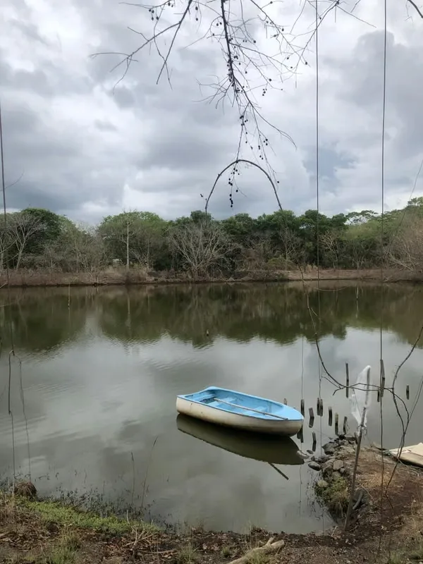 RECREATIONAL FARM FOR SALE - MORALES DE CHOMES, PUNTARENAS