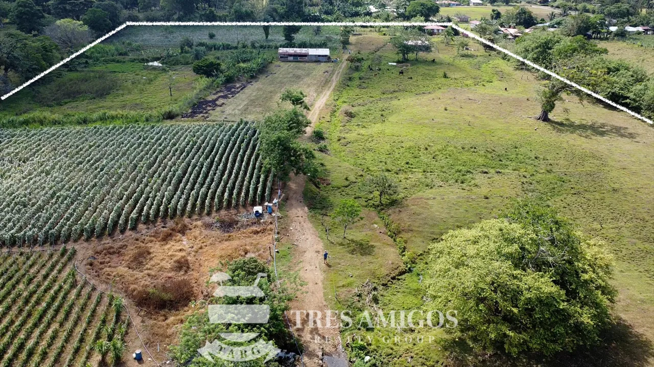 Aguas Claras Finca Perfecta, photo 2