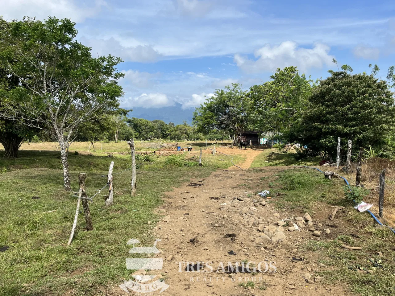 Aguas Claras Finca Perfecta, photo 6