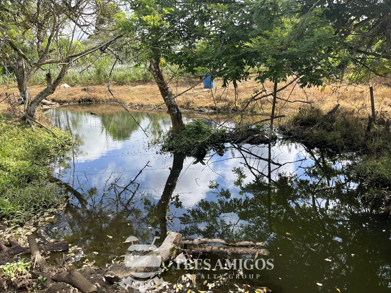 Aguas Claras Finca Perfecta, photo 7