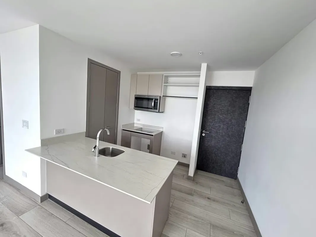 Apartment for Sale, Sabana San José., photo 2