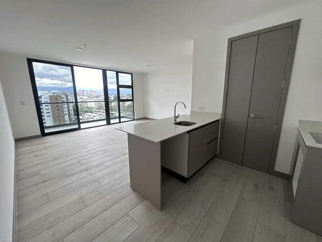 Apartment for Sale, Sabana San José., photo 5