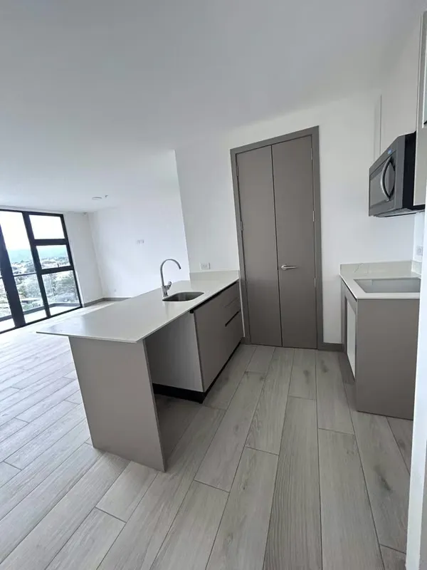 Apartment for Sale, Sabana San José., photo 6