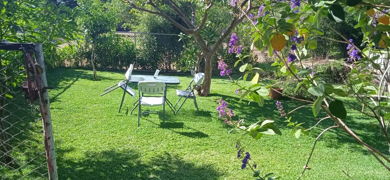 Apartamento amueblado para una pesona con todo lo que necesitas para disfrutar de un espacio moderno, cómodo y funcional.