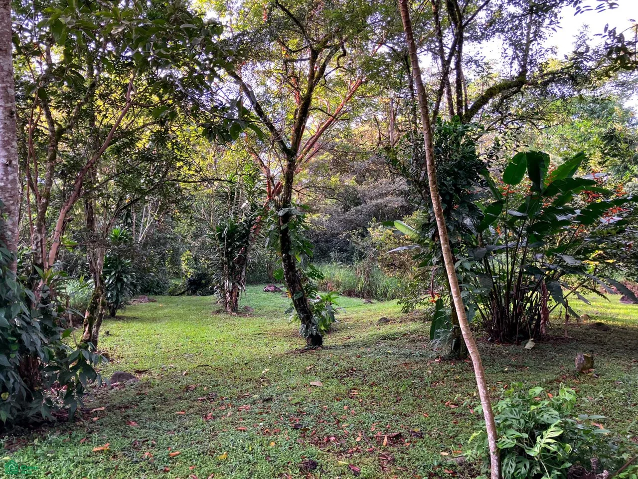 Perez Zeledon San Jose, photo 19