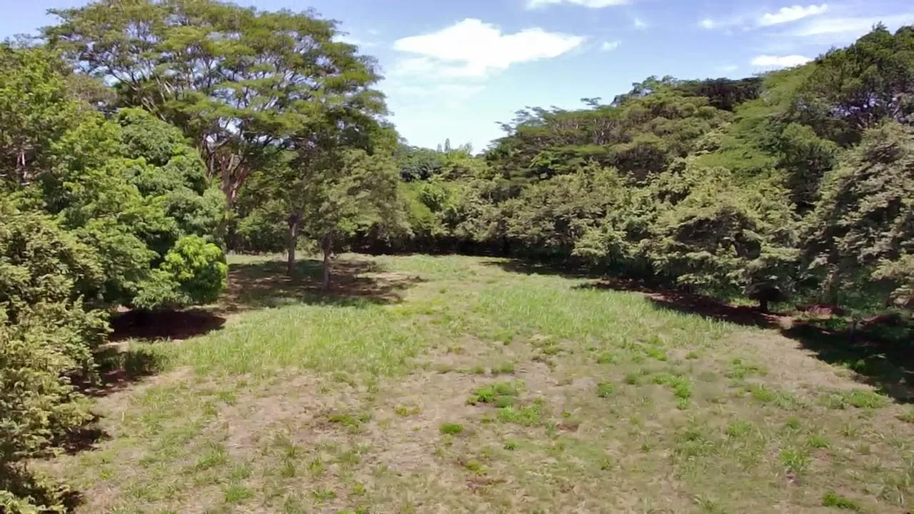 Land for sale in Santa Cruz, Guanacaste, 124; 1 hectare and wide in front of main street