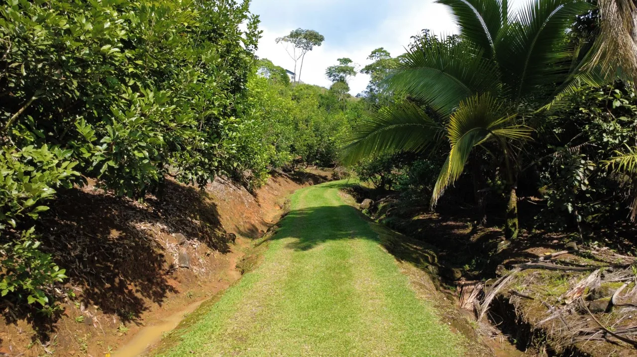 Income-Producing Tropical Farm for Sale in Pérez Zeledón, Costa Rica, photo 11
