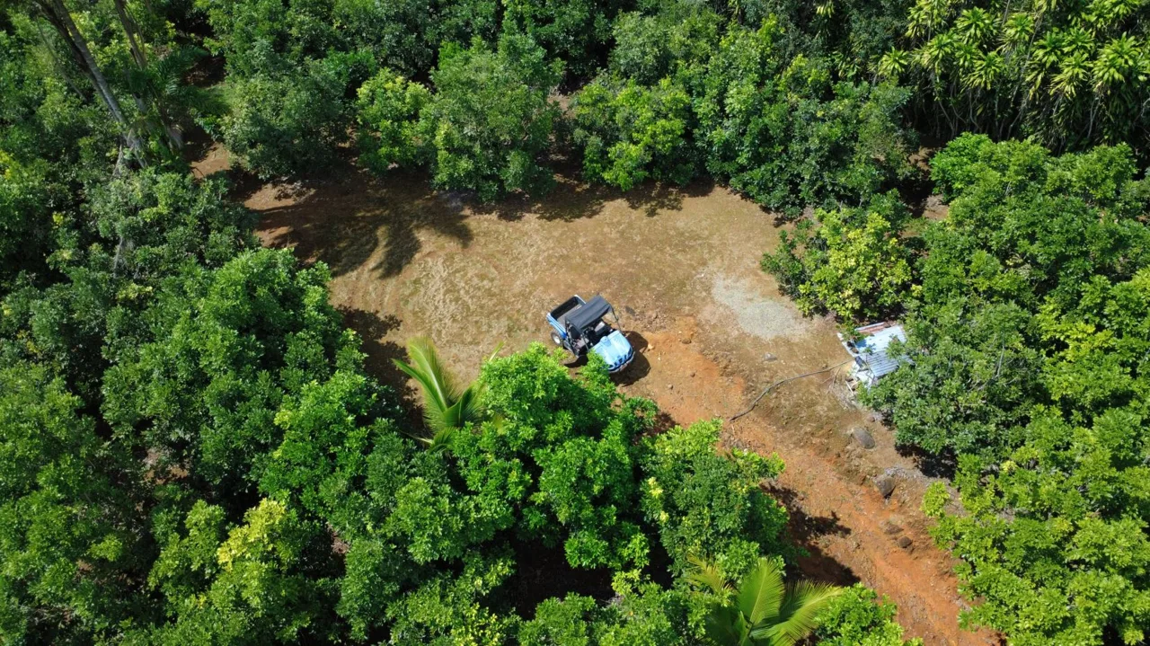 Income-Producing Tropical Farm for Sale in Pérez Zeledón, Costa Rica, photo 12