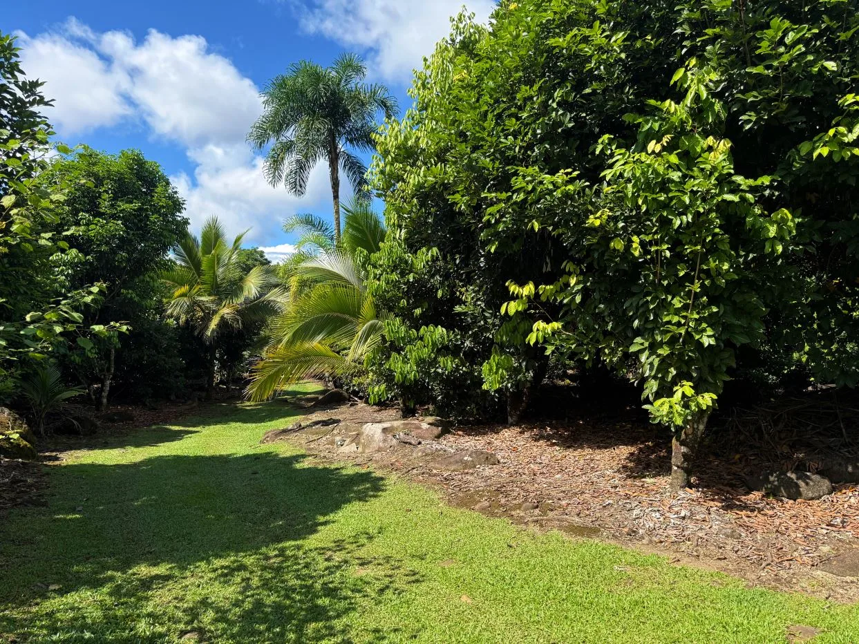 Income-Producing Tropical Farm for Sale in Pérez Zeledón, Costa Rica, photo 14